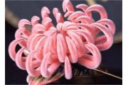 【品趣】绒花，荣华